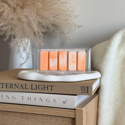 Pumpkin Patch snap bar wax melts styled with fall decor